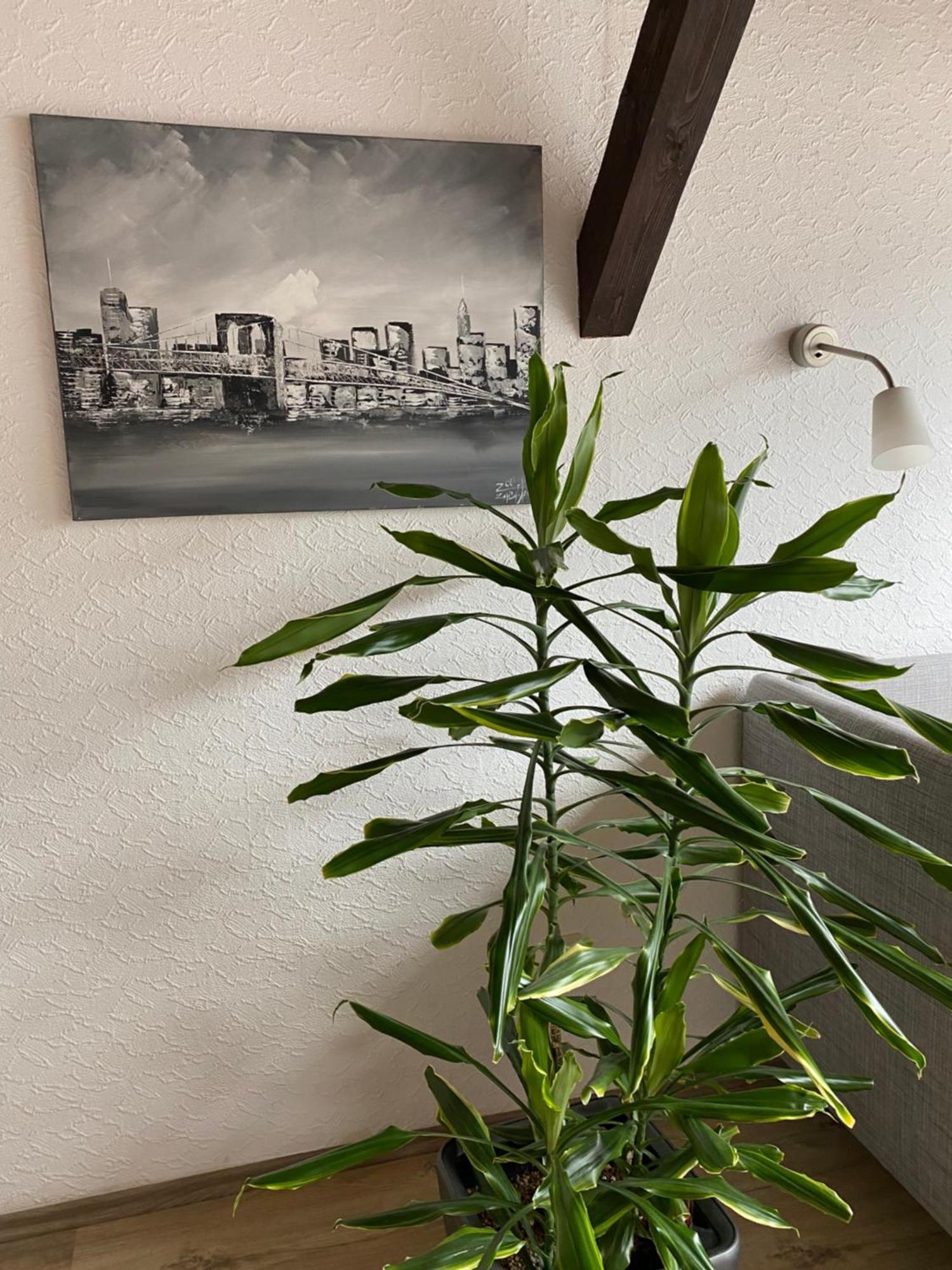 Ferienwohnung Malk ترابن ترارباخ المظهر الخارجي الصورة
